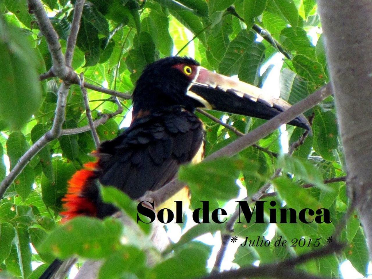 Sol De Minca Eco Lodge Kültér fotó