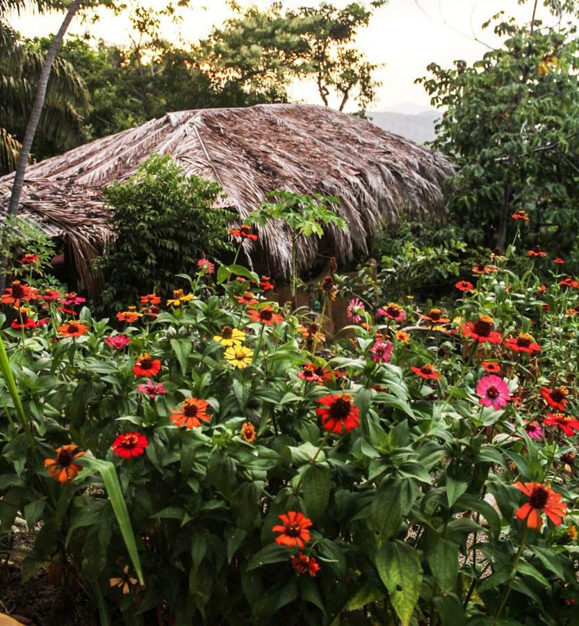 Sol De Minca Eco Lodge Kültér fotó